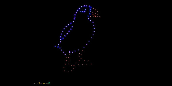 Bird-Bespoke-Custom-Dron-Show