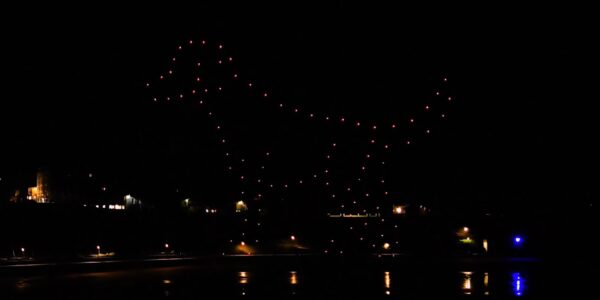 Hire our custom drone show displays which can feature your favourite animals, images, and logos ideal for corporate events.