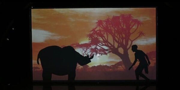 Shadow-Dancing-Show-Creating-A-Rhino