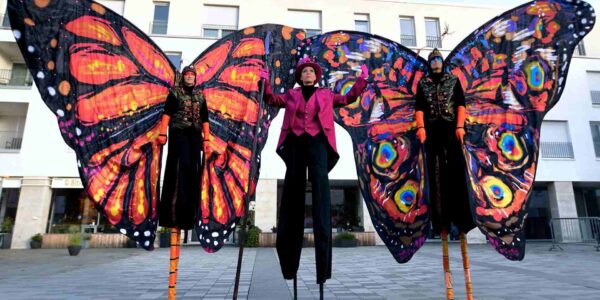 Outside-Walkabout-Butterfly-Entertainment