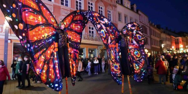 Two-LED-Butterfly-Performers