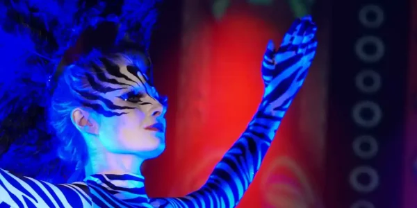 Zebra-From-Lion-Kingdom-Show