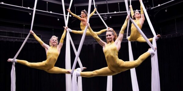 Themed-Aerial-Silk-Show