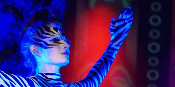 Zebra-From-Lion-Kingdom-Show