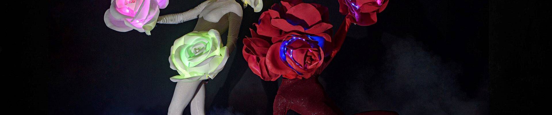 Bespoke-LED-Flower-Dancer-Show Bespoke-LED-Flower-Dancer-Show