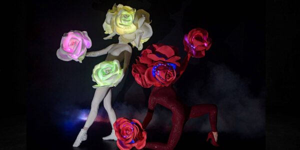 Bespoke-LED-Flower-Dancer-Show