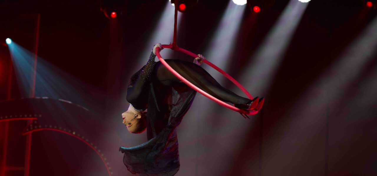 Bespoke-Themed-Acrobatic-Show