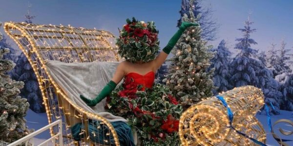 Christmas-Themed-Performer-min