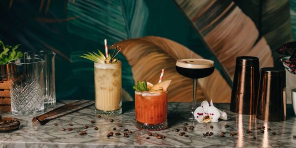 Cocktail-Mobile-Bar-Hire-Showcasing-Drinks