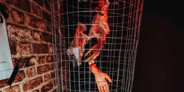 Dissected-Hands-Halloween-Props-And-Cage
