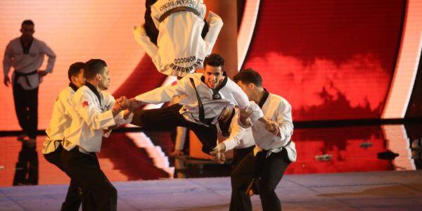 Martial Arts Show