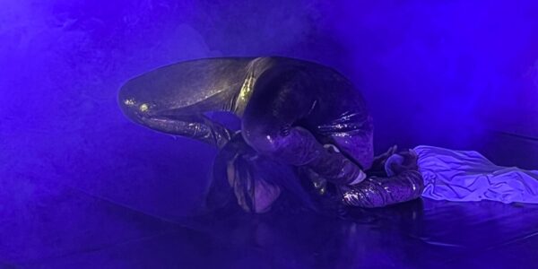 Metamorphosis-Contortion-Act-In-Position