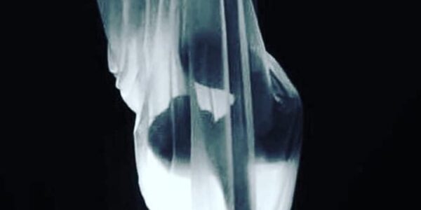 Metamorphosis-Contortion-Act-Performing-Under-See-Through-Sheet