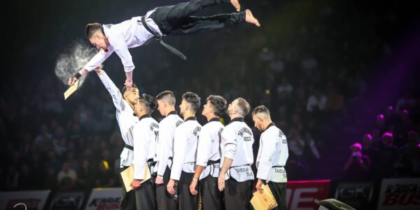 Mixed Martial Arts Act