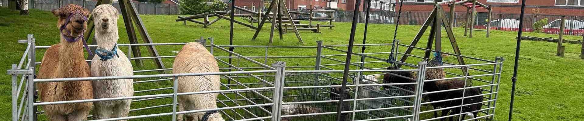 Mobile-Petting-Farm Mobile-Petting-Farm
