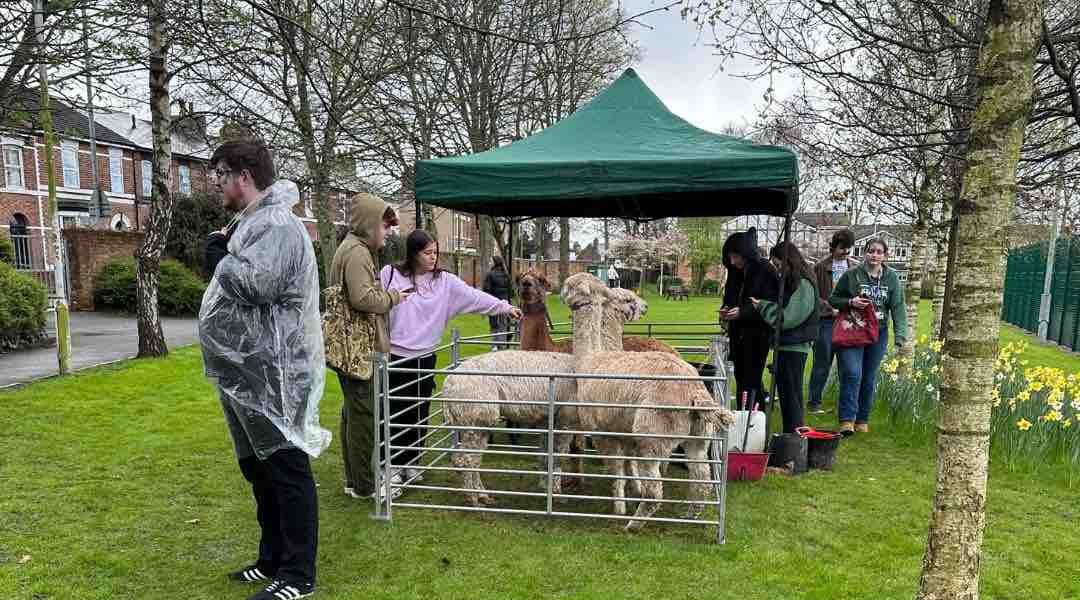 Petting-Farm-Hire-Community-Events