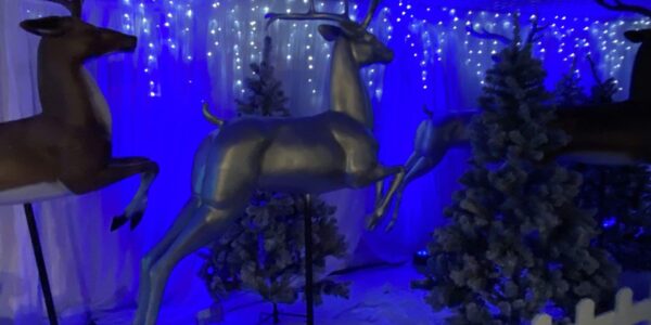 Flying reindeer props for Christmas theming.
