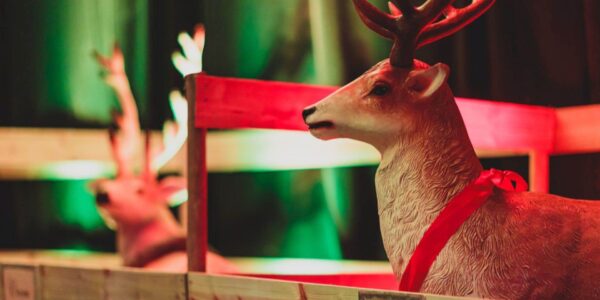 Reindeer-Props-At-Christmas-Event