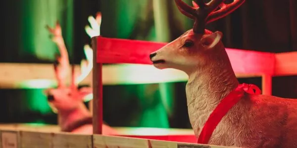 Reindeer-Props-At-Christmas-Event