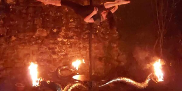 Snake-Themed-Pole-Dancing-Show