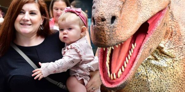Audience members and a walkabout dinosaur (6)