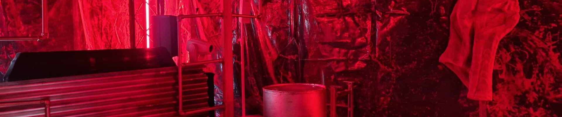 Barrels-And-Bodyparts-In-Slaughterhouse