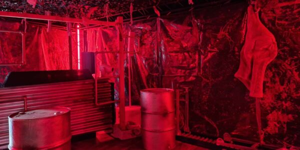 Barrels-And-Bodyparts-In-Slaughterhouse