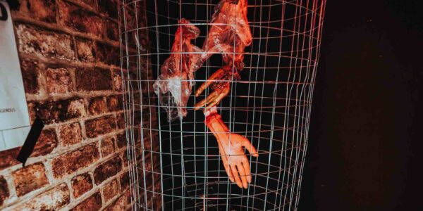 Decapitated-Props-In-Cage