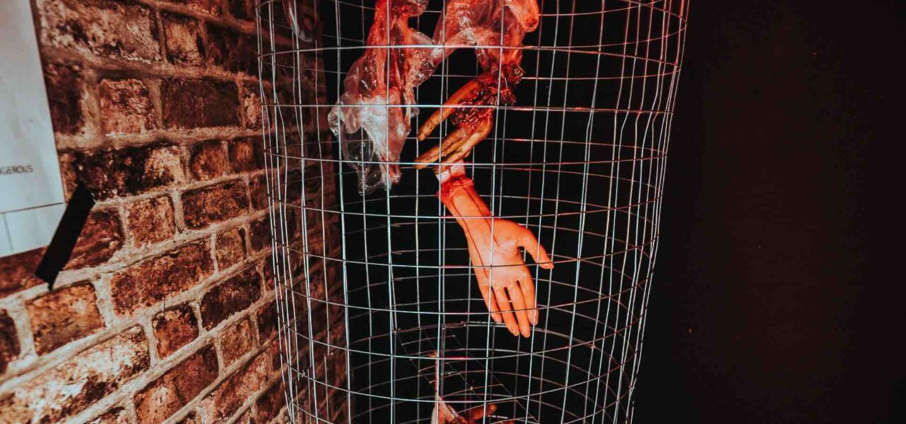 Dissected-Bodyparts-In-Cage