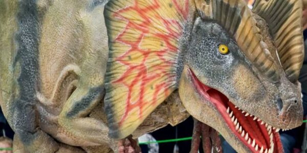 Dylophosaurus Performing To A Crowd