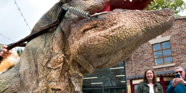 Ride-On T-Rex