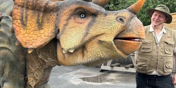 Triceratops At Family Fun Day Event