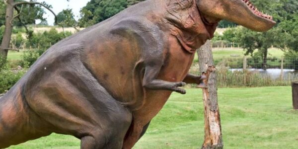 Tyrannosaurus Rex Performing At Public Event