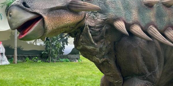 Walkabout Ankylosaurus At Family Event