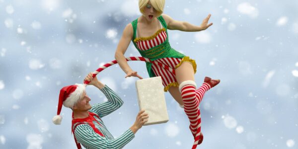 Winter Wonderland Entertainment