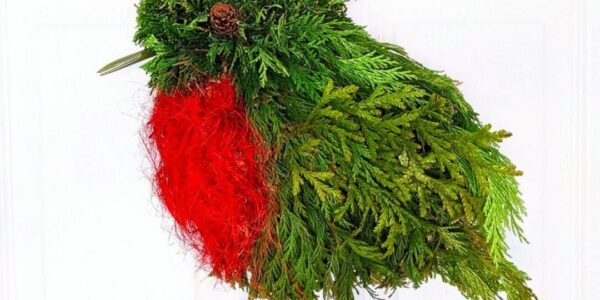 Woodland-Wreath-Making-Workshop-Evergreen-Christmas-Robin