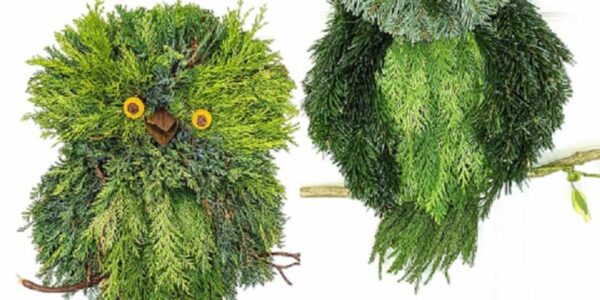 Woodland-Wreath-Making-Workshop-Owl-And-Owlet-Door-Wreath