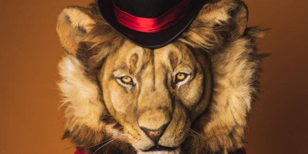 Big Cat Entertainers