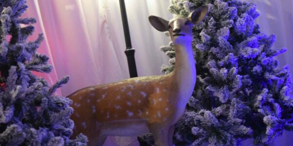 Reindeer prop used for grotto event.