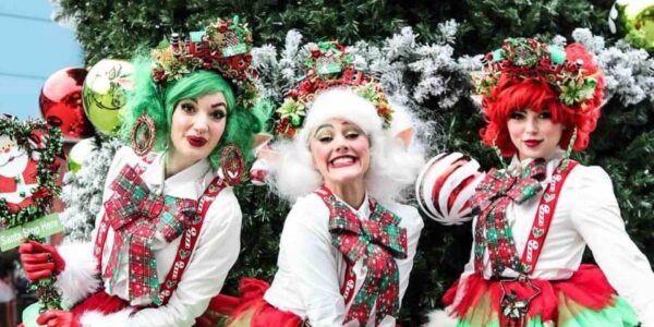 Festive-Elves