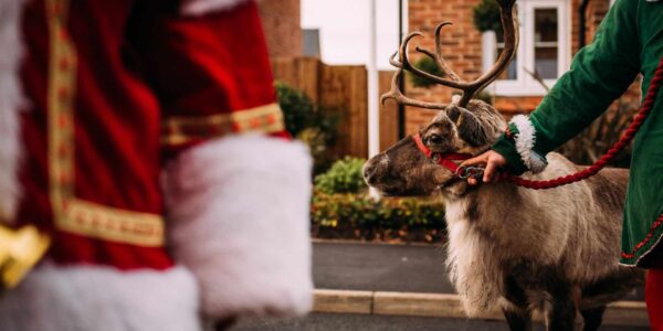 You can also hire real reindeer as part of your interactive grotto experience.
