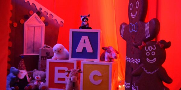 We can transform your Grotto with a toys workshop theme as seen here.