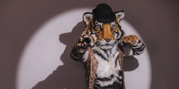 Walkabout Tiger Entertainer