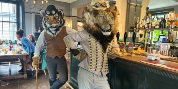 Big Cat Characters
