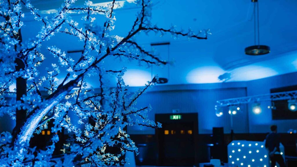 Winter Wonderland themed event with gorgeous icy tree