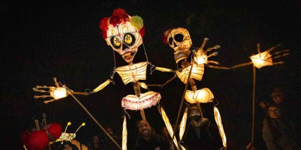Skeleton Walkabout Entertainers