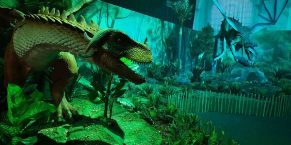 Dinosaur-Themed-Childrens-Exhibitions.jpeg