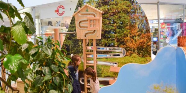 Nature-Themed-Childrens-Exhibitions.jpeg