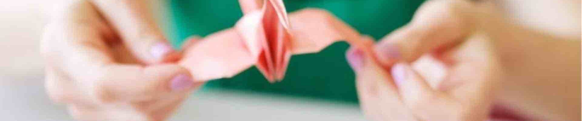 Origami Artist Entertainer Origami Artist Entertainer