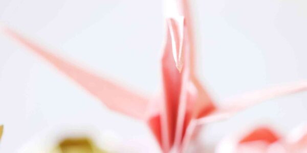 Origami Demonstration